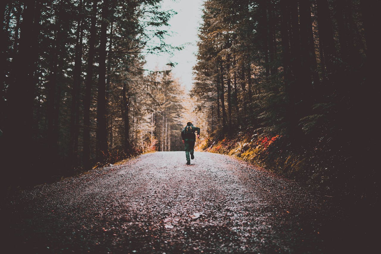 Home A lone traveler runs down a scenic forest dirt road, surrounded by tall trees.